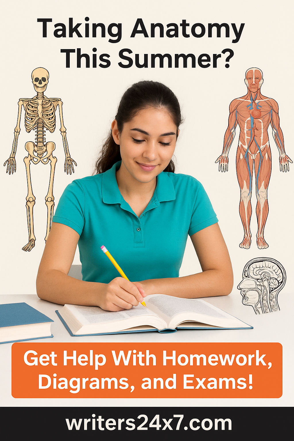 Taking Anatomy This Summer? Get Help With Homework, Diagrams, and Exams!